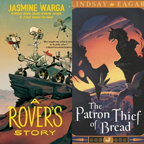 Book covers of A Rover's Story and The Patron Thief of Bread, two titles being compared.